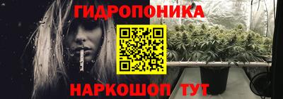 прущие грибы Дубна