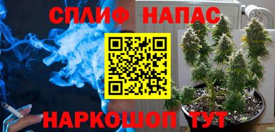 прущие грибы Дубна