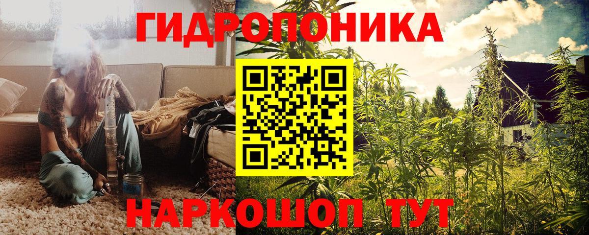 Конопля Amnesia Карачаевск